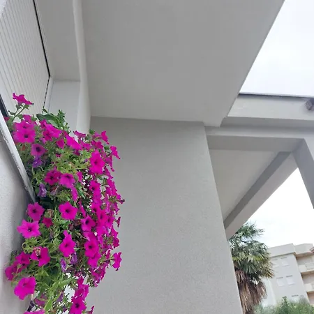Guest house Dzeba *